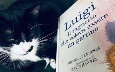 LUIGI, il ragnetto che voleva essere un gattino