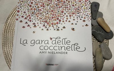 La gara delle coccinelle