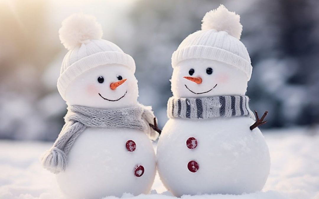 Albi illustrati a tema inverno